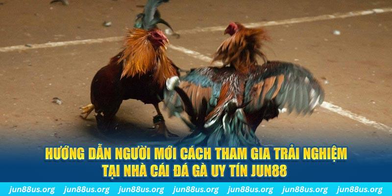 77 win loi game dot kich ket noi may chu that bai