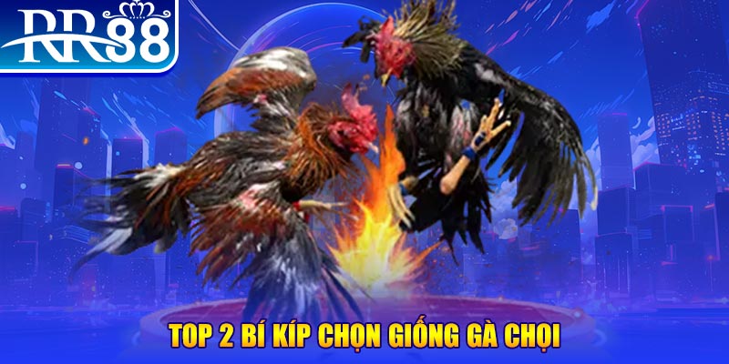 77 win máy thu cước bắn cá