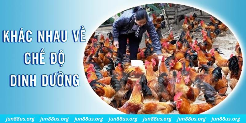 77 win xổ số miền nam thứ năm hàng tuần