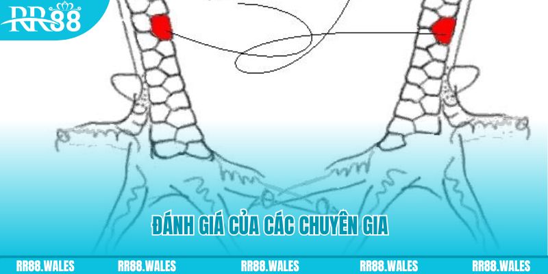 77 win V8 Game Bài 3d