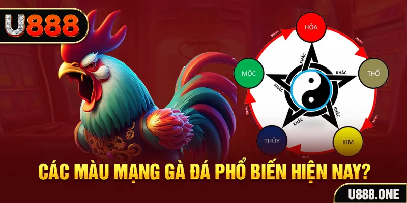 77 win FTG Điện Tử