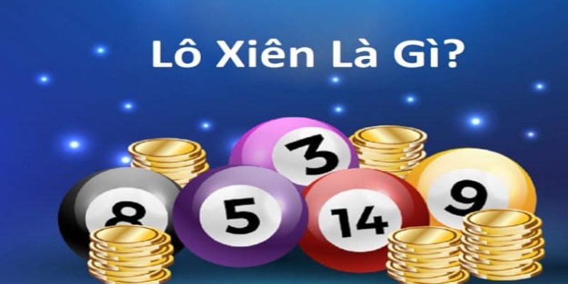 77 win gà chọi hòa phong