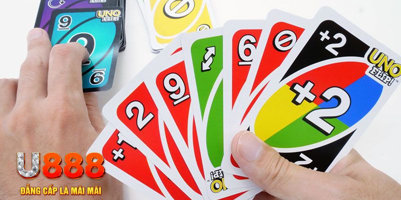 77 win gà chọi cu cần