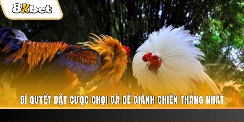 77 win xổ số thứ hai hàng tuần