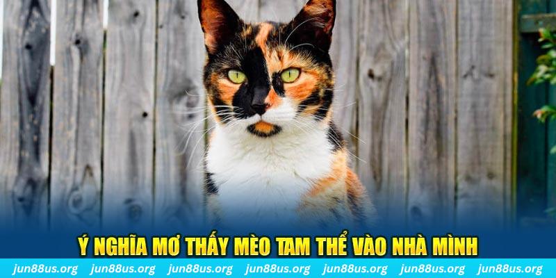 77 win RTG Bắn cá