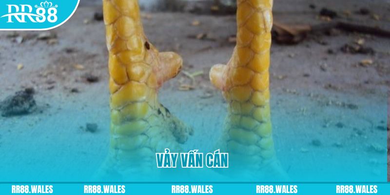 77 win đăng nhập nổ hũ hôm nay