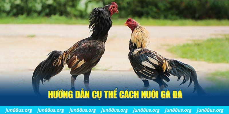 77 win đăng nhập sòng bạc số 1