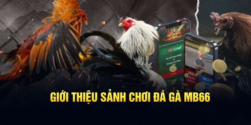 77 win đăng nhập poker hôm nay